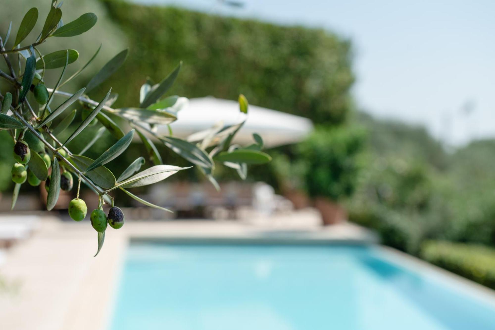 Villa Eden Forte Dei Marmi With Private Infinity Pool Santa Lucia  エクステリア 写真