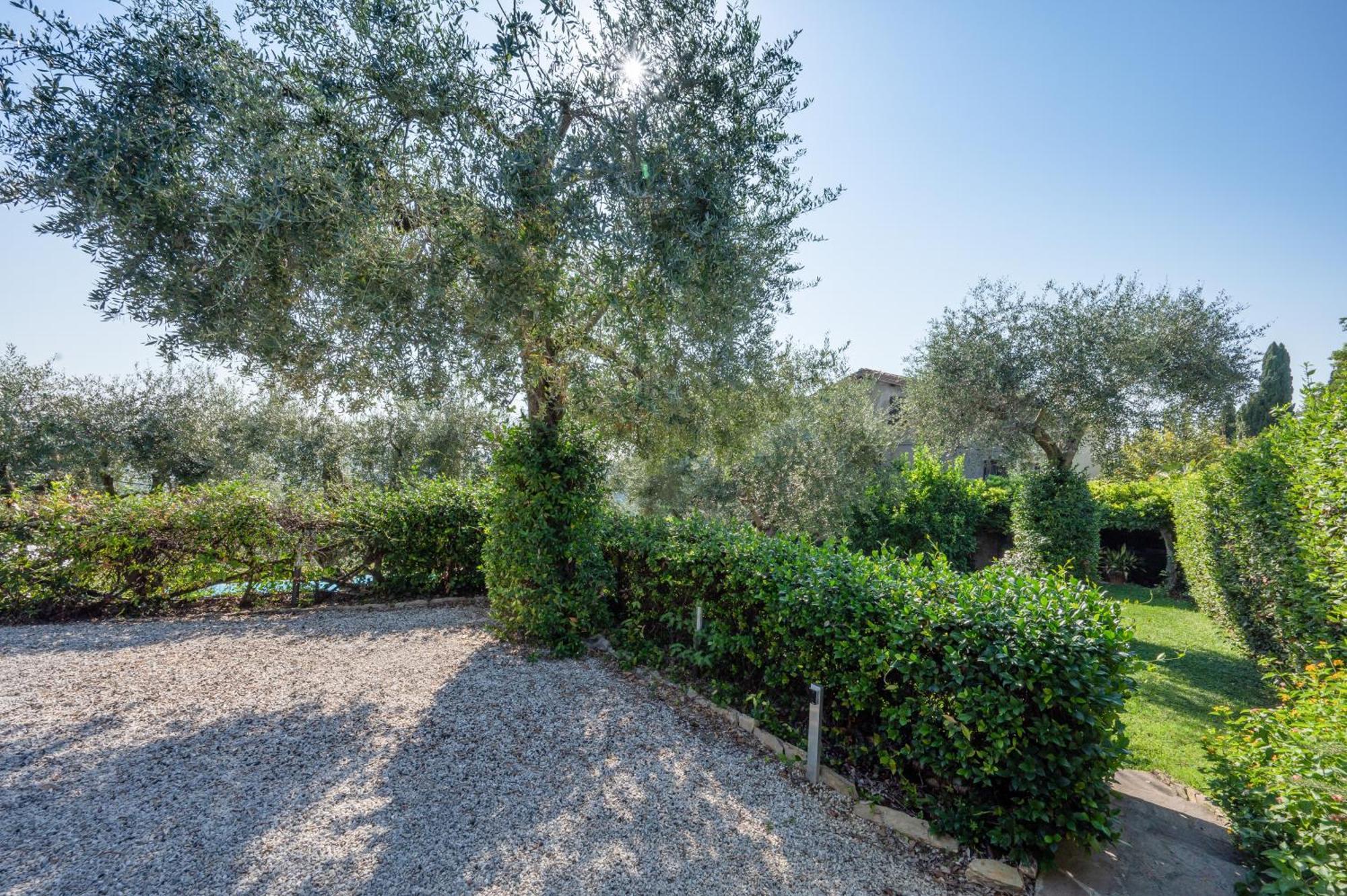 Villa Eden Forte Dei Marmi With Private Infinity Pool Santa Lucia  エクステリア 写真